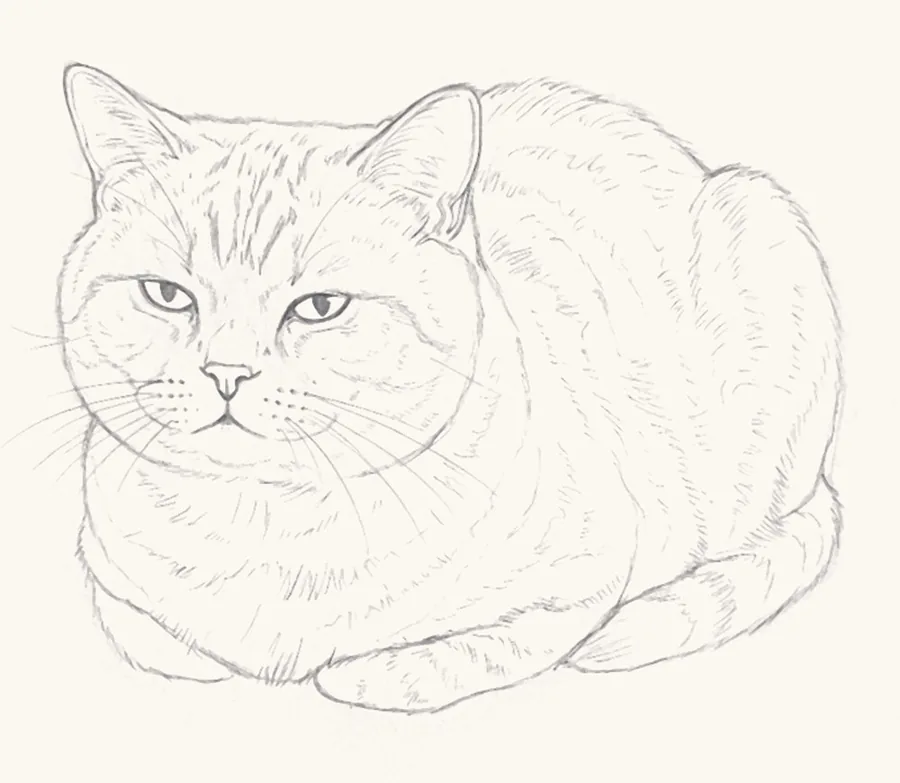 Step 6